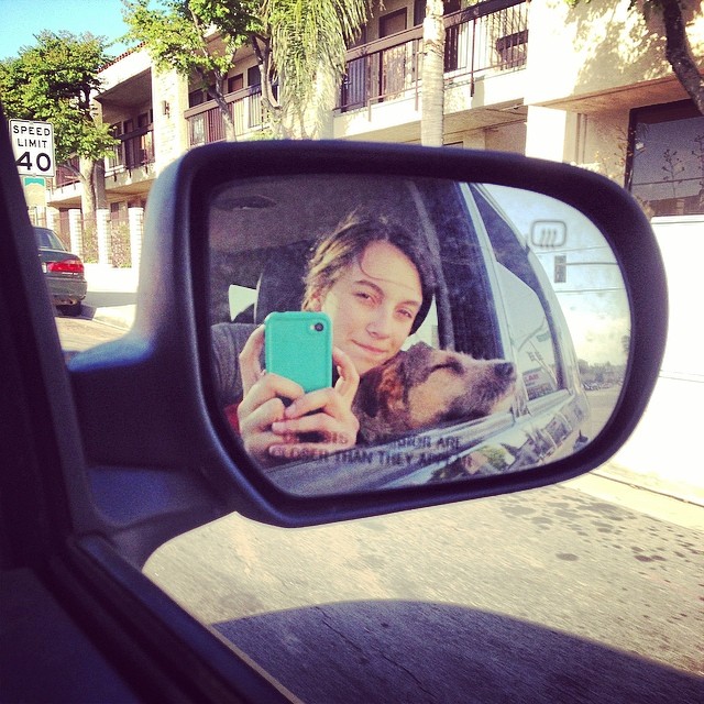 see ya next week socal land (and nia)!! to NorCal for shows!!! yayyyy! #dogsandairports