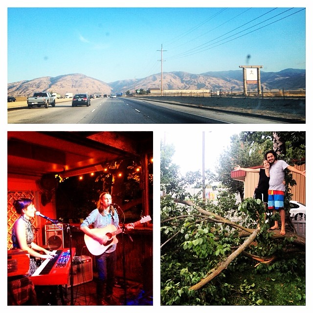 got to see a third of my giant elm tree fall, a @thenativesibling show, a drive this golden state of mine all in the past 24 hours...#thisisthelife