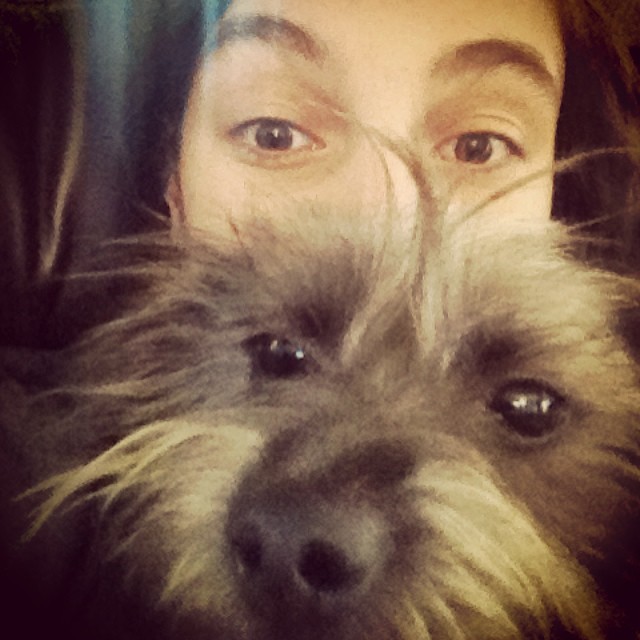 I am playing a solo set at the farmar at LMU today! come hang out with me and the beets! oh, and meet #harveybarkstein, my cuddle bud for the weekend! :)