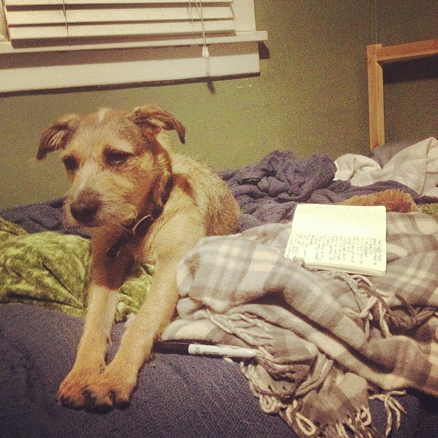 should I give her co-writing cred?