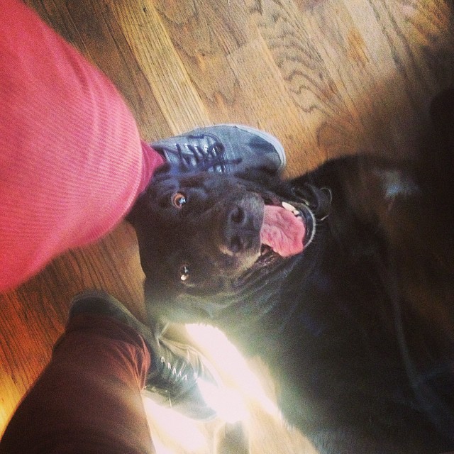 artsy fartsy crazy eyes