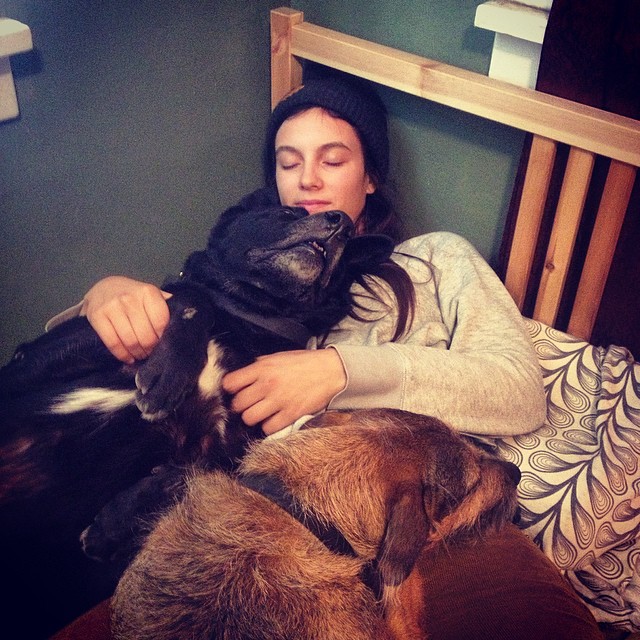 everyday I'm snuggling