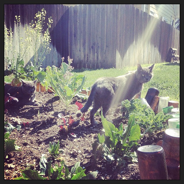 welcome to my happy place!