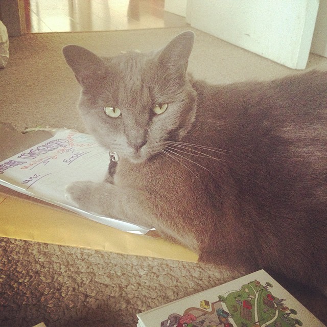 moe is super good at transcribing emails. and looking amazing ;)