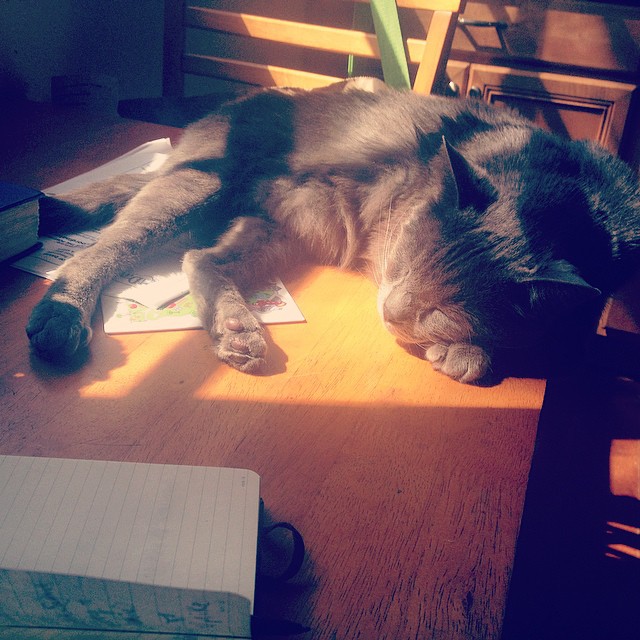 the only creature that I claim as my bae