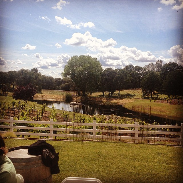 northern california, you have my heart forever. I had an incredibly lovely afternoon at Ard Aven Winery in #plymouth. i'm so honored to sing my songs in this magical land!