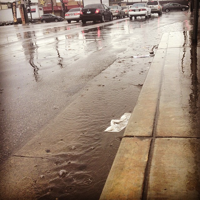 waiting by the creek #subjecttoflooding #stormwatersampling #LA