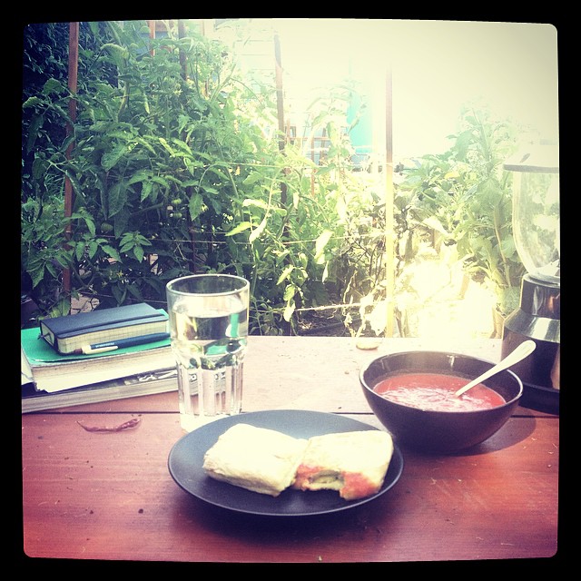 i am very grateful for this space #gardendaze