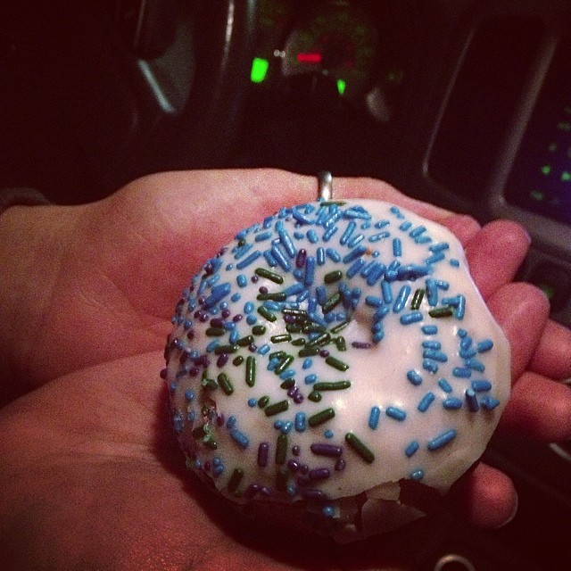most beautiful donut ever