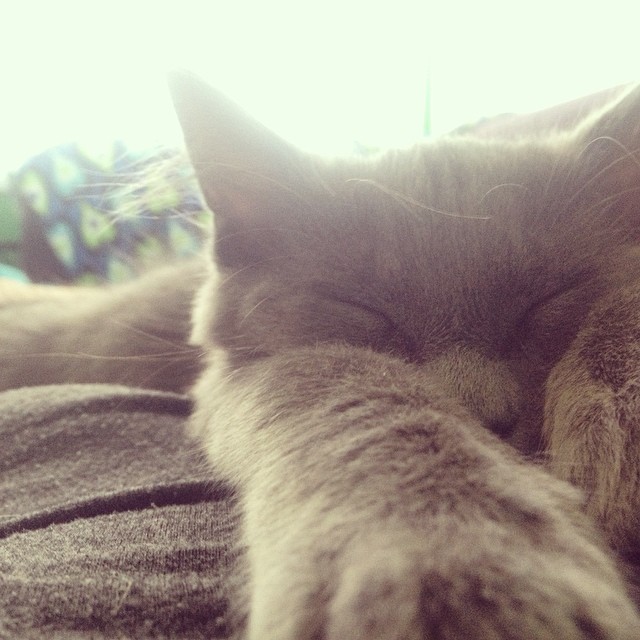 meet blue! my new best friend in LA!