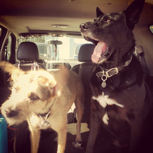 gooooodmooooorninnnng