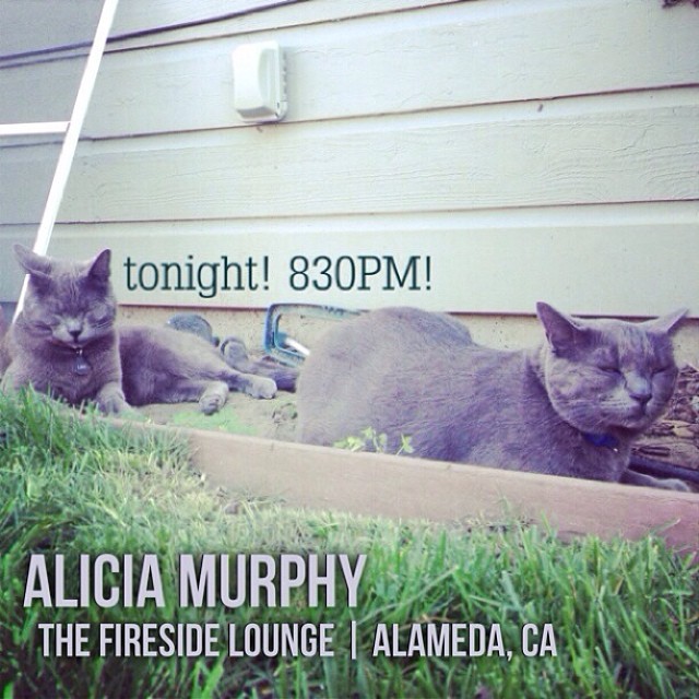 my favorites animals agree that you should come to the show tonight if yer in or near the bay! yay! #alameda #spring #worldwaterday