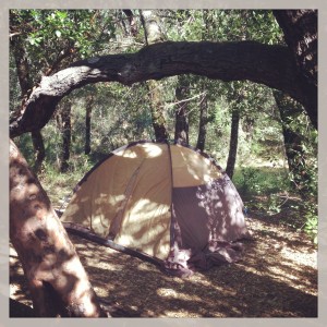 our idyllic napa valley campsite