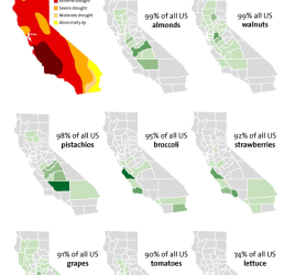California grows America's food
