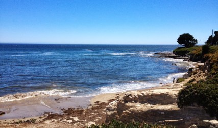 santa cruz, alicia murphy, open mics, dogs, beach